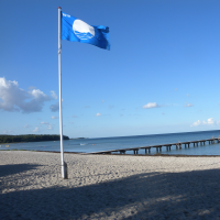Blå badevandsflag i flagstang på strand i sommervejr blå flag