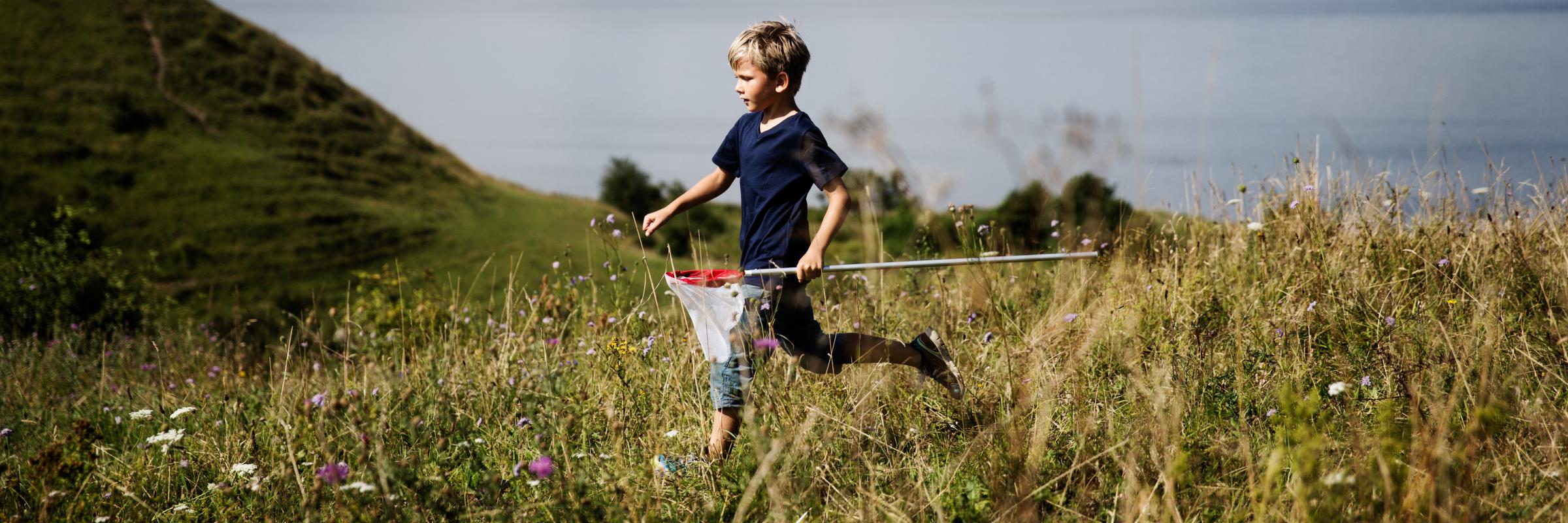 Dreng løber med sommerfuglenet