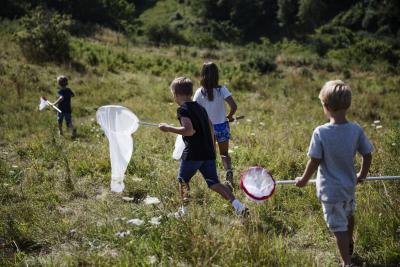 På billedet ses fire børn, der løber over en eng med fiskenet i hånden. Solen skinner og det er sommer