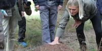 Forsvarminister Trine Bramsen klapper en myretue