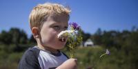 Dreng dufter til blomster i Naturpark Mølleåen