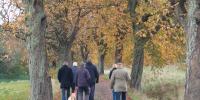 Naturpark Åmosen gåtur vandrere efterår