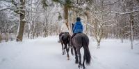 På billedet er der to ryttere, der ridder gennem en skov på hesteryg. Der er sne overalt
